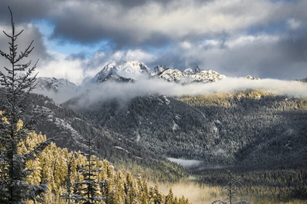 Your favorite campgrounds, hiking trails, and forests could soon be up for auction