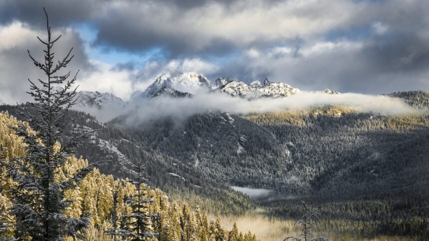 Your favorite campgrounds, hiking trails, and forests could soon be up for auction