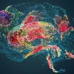 Your forgotten memories continue to influence the choices you make