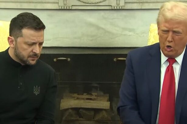 Zelenskyy Kept Trump In The Dark And Didn’t Tell Him About Attack On Russian Bombers