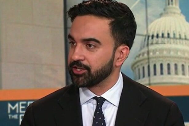 Zohran Mamdani Devastates Trump With A Single Observation