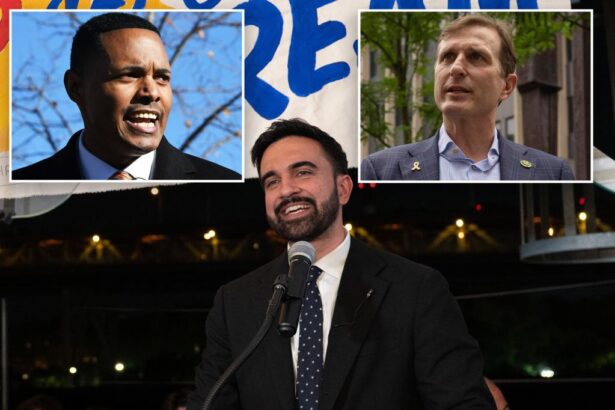 Zohran Mamdani has Dems in ‘absolute panic’ over how to handle NYC mayoral bid