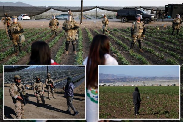 10 illegal migrant kids found at California pot farm as feds launch ‘child labor’ probe