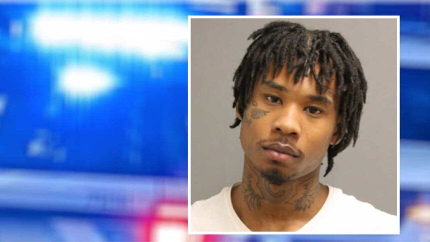 10-year sentence for man linked to 2022 Lakeview carjacking, Rogers Park shooting