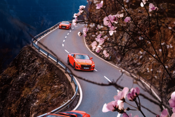 See The Celebrities With The Best Car Collections In 2025