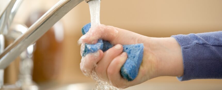 11 Everyday Items That We Forget Are Nasty Hotspots For Bacteria : ScienceAlert