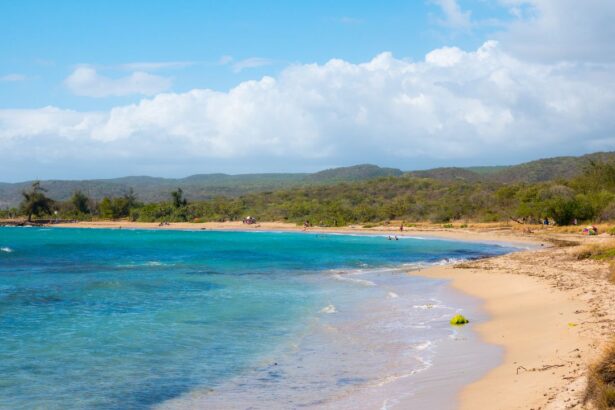 The Best Beaches in Puerto Rico Still Feel Like a Secret