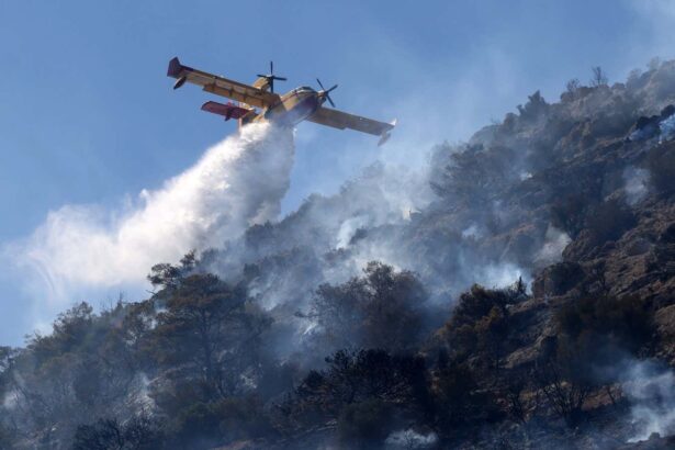 1500 deaths in the recent European heatwave were due to climate change