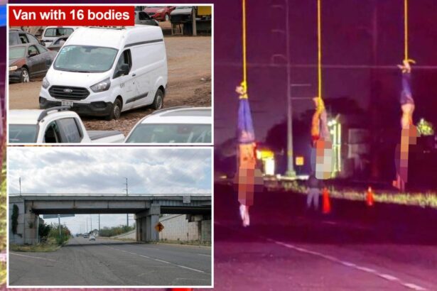 20 bodies found in Mexico — including 4 hanging from bridge near bag of heads