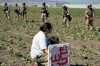 200 Arrested, Farm Worker Gravely Injured In California Immigration Raid