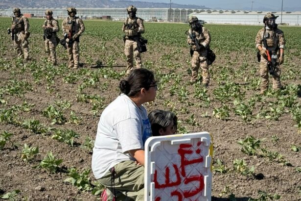 200 Arrested, Farm Worker Gravely Injured In California Immigration Raid