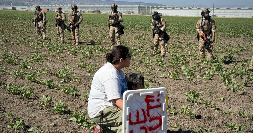 200 Arrested, Farm Worker Gravely Injured In California Immigration Raid