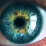 40% of People Have Eyes That Aren’t Perfectly Round. Here’s What You Need to Know. : ScienceAlert