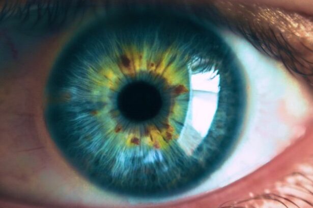 40% of People Have Eyes That Aren’t Perfectly Round. Here’s What You Need to Know. : ScienceAlert