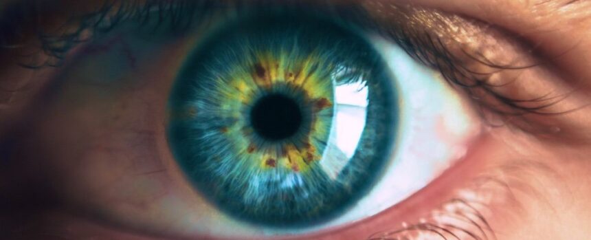 40% of People Have Eyes That Aren’t Perfectly Round. Here’s What You Need to Know. : ScienceAlert