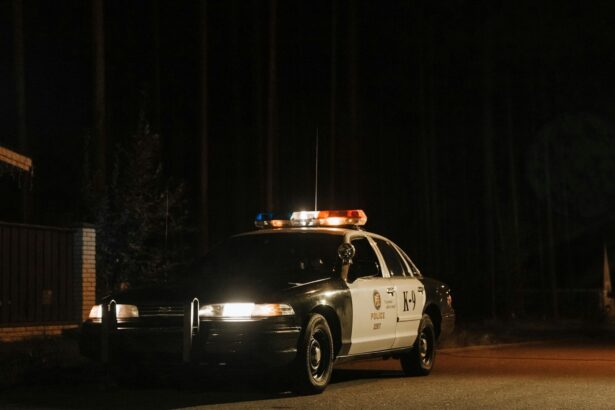 5 chilling details about Sarah McLinn’s crime