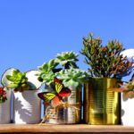 9 Ways to Inspire Reuse in Your Community