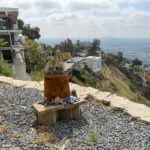 A Hollywood Hills Gallery-Home Is Reborn as an Artist’s Residency 