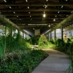 A Multifaceted Book and Exhibition, ‘Black Earth Rising’ Contends with Colonialism, Land, and Climate — Colossal