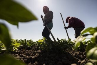 A long-awaited workplace heat rule moves forward, even under Trump