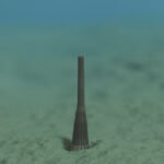 A new species of ‘penis worm’ was discovered in the Grand Canyon