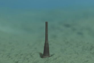 A new species of ‘penis worm’ was discovered in the Grand Canyon