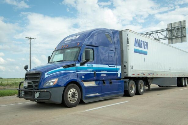 A smaller Marten turns in a second quarter of 2025 much like a year earlier