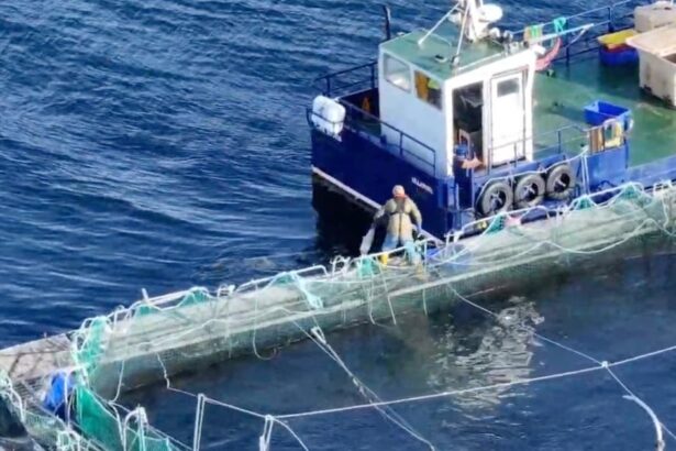 A tender moment in a troubled industry?