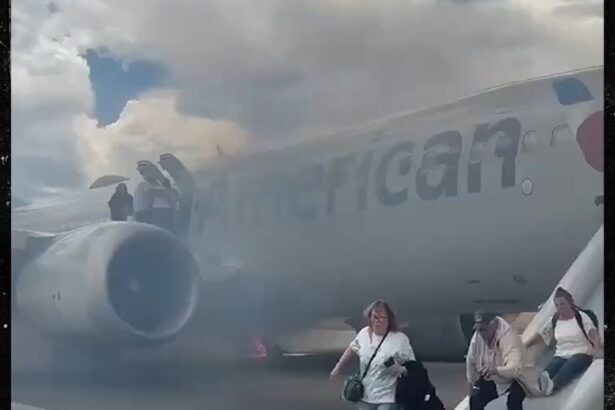 Airplane Passengers Evacuate Plane After It Catches Fire in Denver, Video