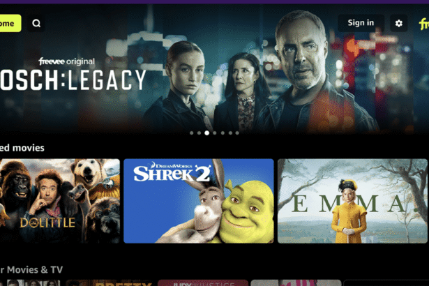 Amazon is shutting down its Freevee app in August