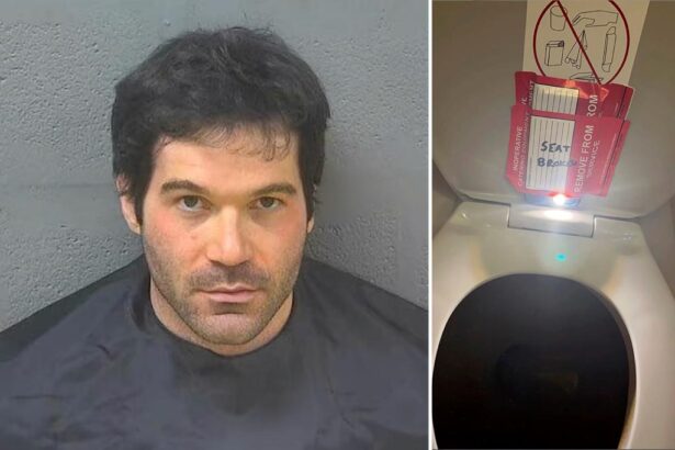 American Airlines flight attendant who admitted to secretly filming young girls in plane bathroom learns fate