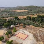 Among Andalusian Vineyards, a Vivid Carpet Creates a Space for Gathering — Colossal