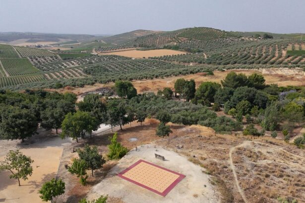 Among Andalusian Vineyards, a Vivid Carpet Creates a Space for Gathering — Colossal