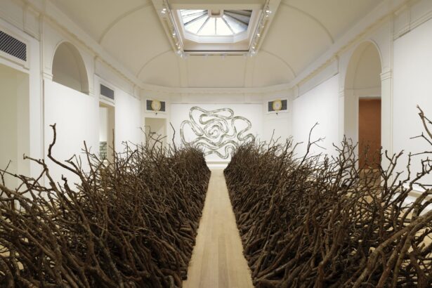 An Expansive Survey in Scotland Celebrates Five Decades of Land Art by Andy Goldsworthy — Colossal