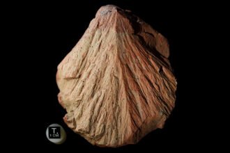 An ancient Earth impact could help in the search for Martian life