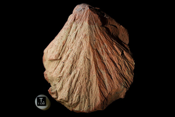 An ancient Earth impact could help in the search for Martian life