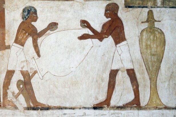 An ancient Egyptian’s complete genome has been read for the first time