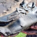 Ancient Roman Bigfoot? ‘Unusually Large’ Shoes Puzzle Archaeologists : ScienceAlert
