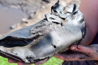 Ancient Roman Bigfoot? ‘Unusually Large’ Shoes Puzzle Archaeologists : ScienceAlert