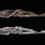 Ancient Siberian ice mummy is covered in ‘really special’ tattoos