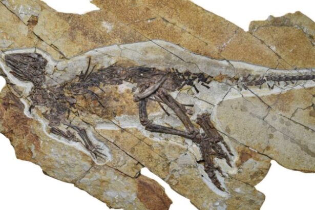 Ancient Voice Box Finally Reveals How Dinosaurs May Have Sounded : ScienceAlert