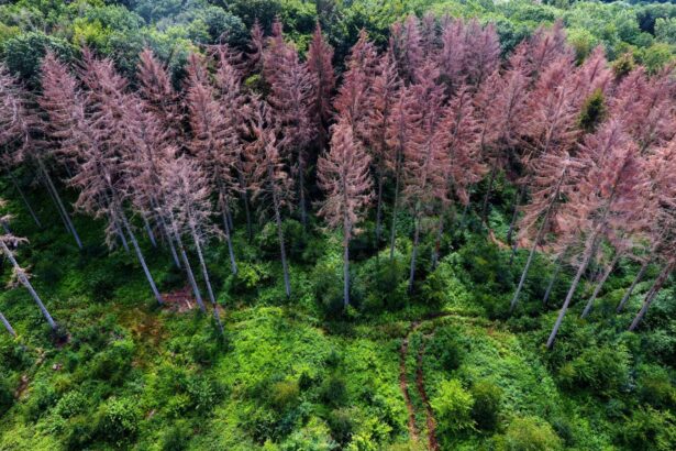 Ancient mass extinction shows how Earth turned into a super-greenhouse