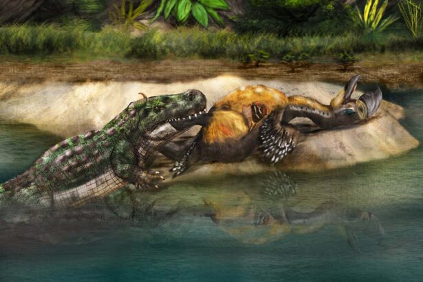 Ancient ‘terror birds’ may have been no match for hungry giant caimans