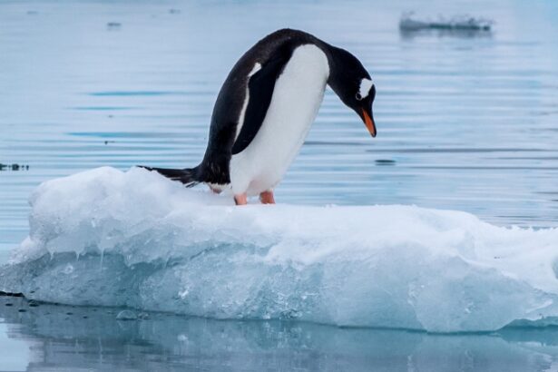 Antarctica’s Ocean Is Mysteriously Getting Saltier, Spelling End to Sea Ice : ScienceAlert