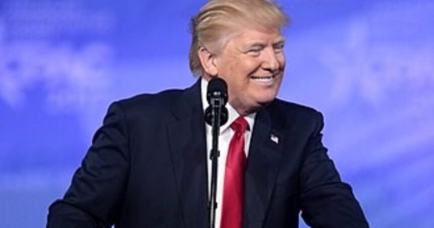 Anti-Trump New York Times Columnist Admits Trump’s Presidency is ‘Much More Successful’ Than He Expected |
