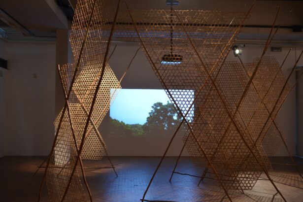 Artists Decry Centre Pompidou’s Cancellation of Caribbean Art Exhibition