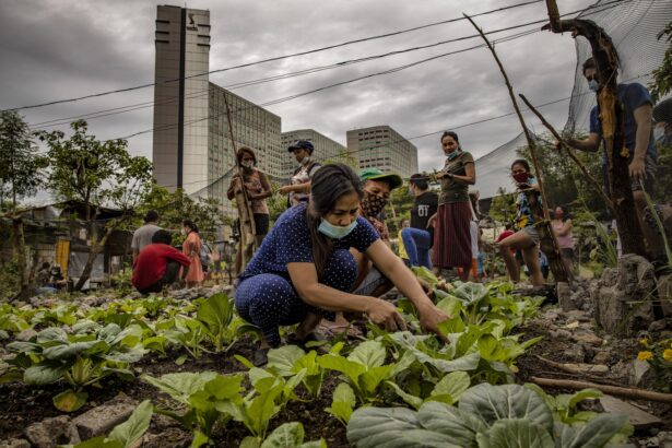 As nations lag on climate action, their cities are stepping up. Here’s proof.