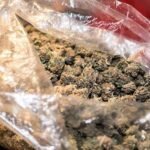 Ashburton man charged over large cannabis growing operation