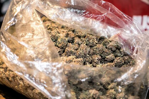 Ashburton man charged over large cannabis growing operation