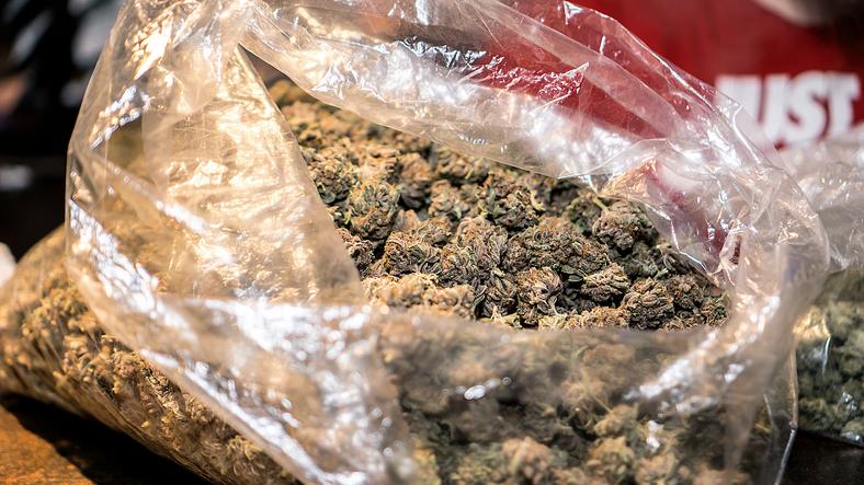 Ashburton man charged over large cannabis growing operation
